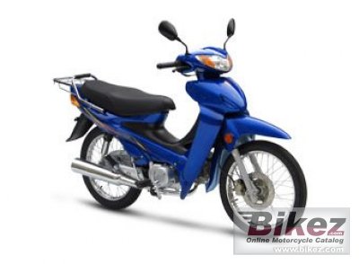 2013 Giantco Raider 110 photo